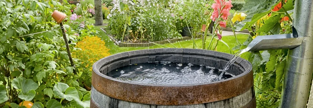 Regenwassertonne im Garten